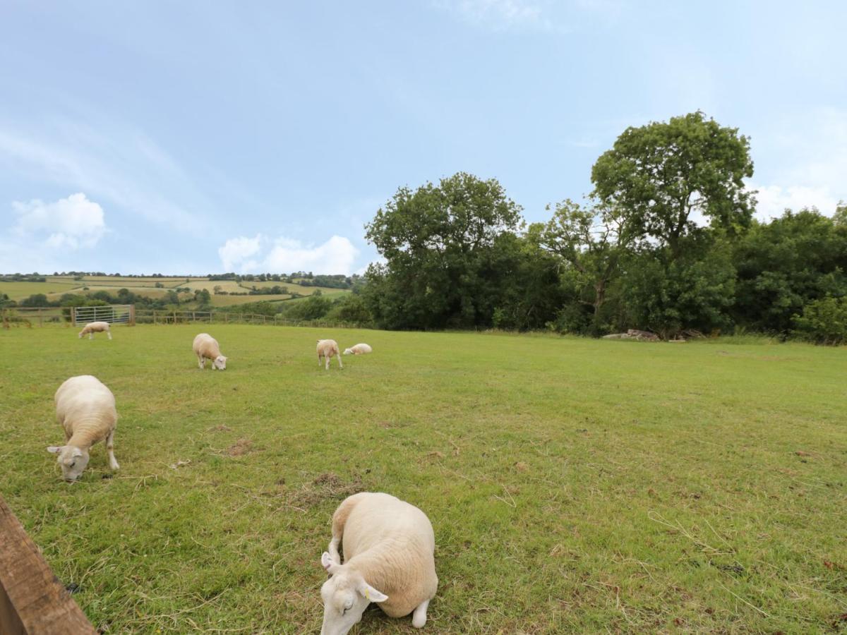 לאומינסטר Holmer Farm מראה חיצוני תמונה